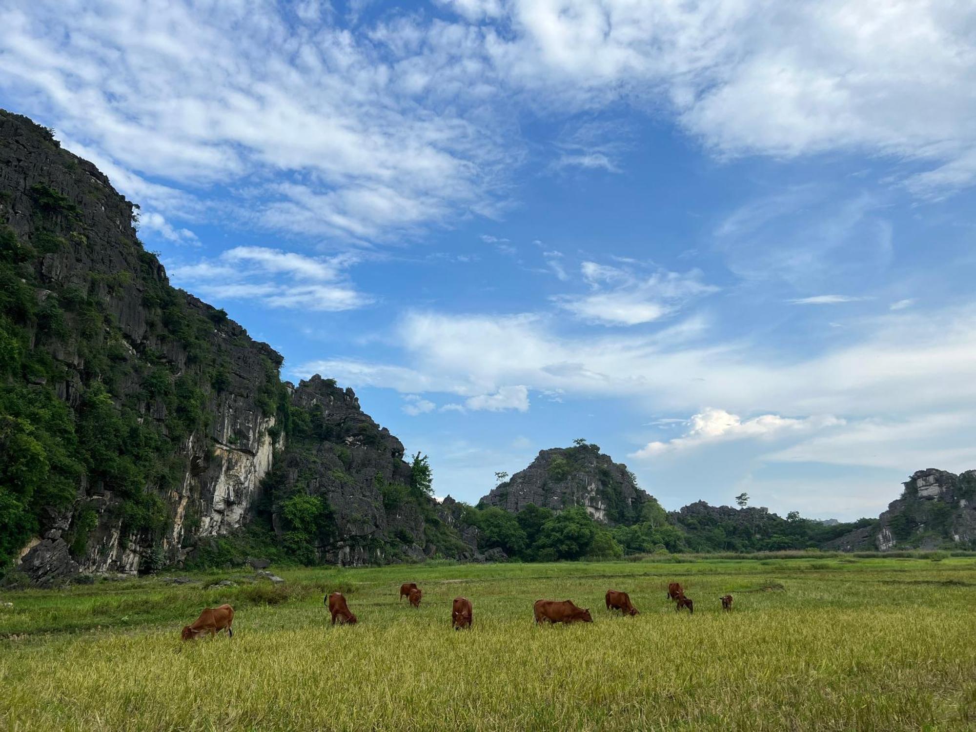 Ninh Binh Family Homestay Ngoại thất bức ảnh