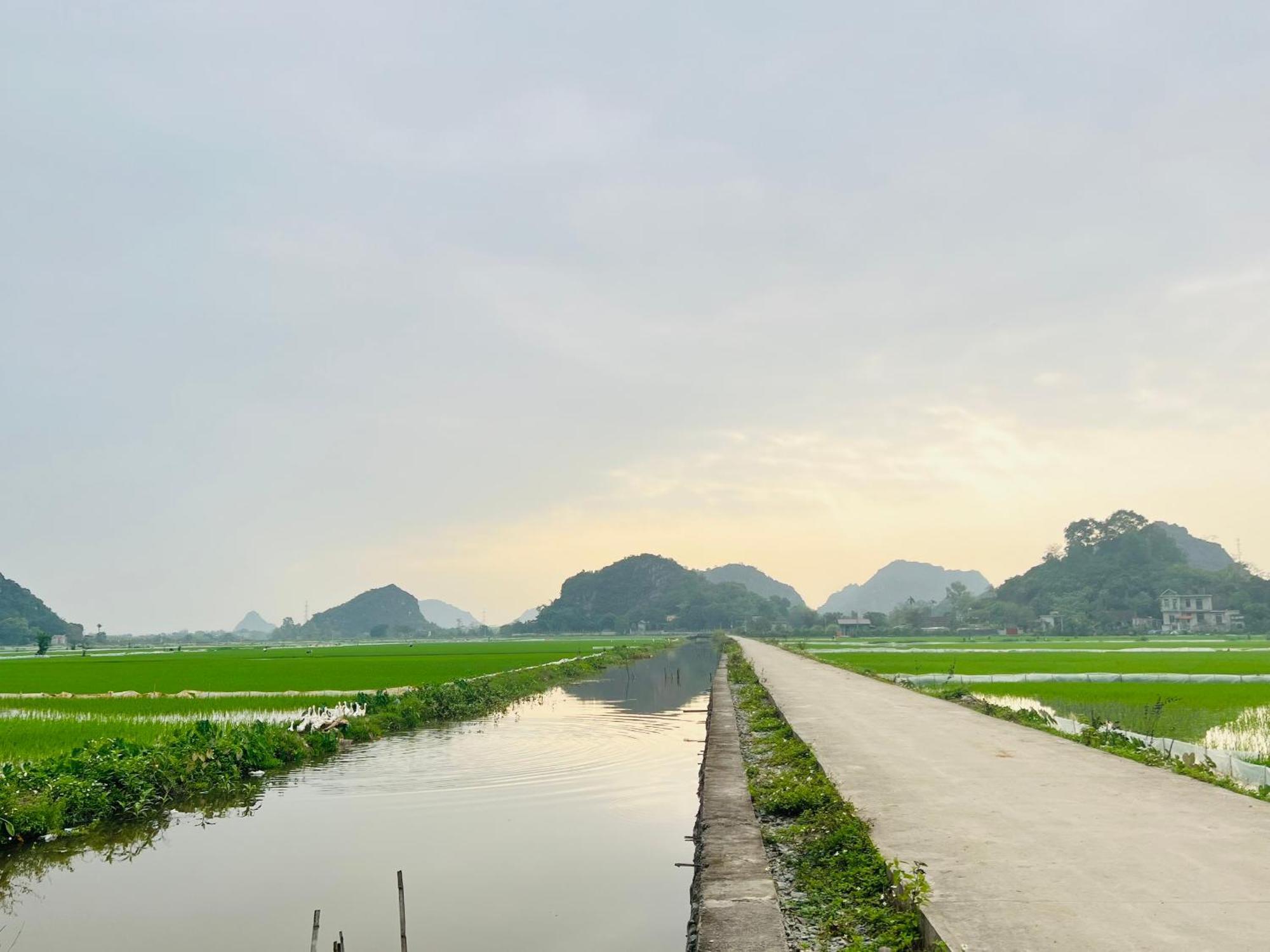 Ninh Binh Family Homestay Ngoại thất bức ảnh