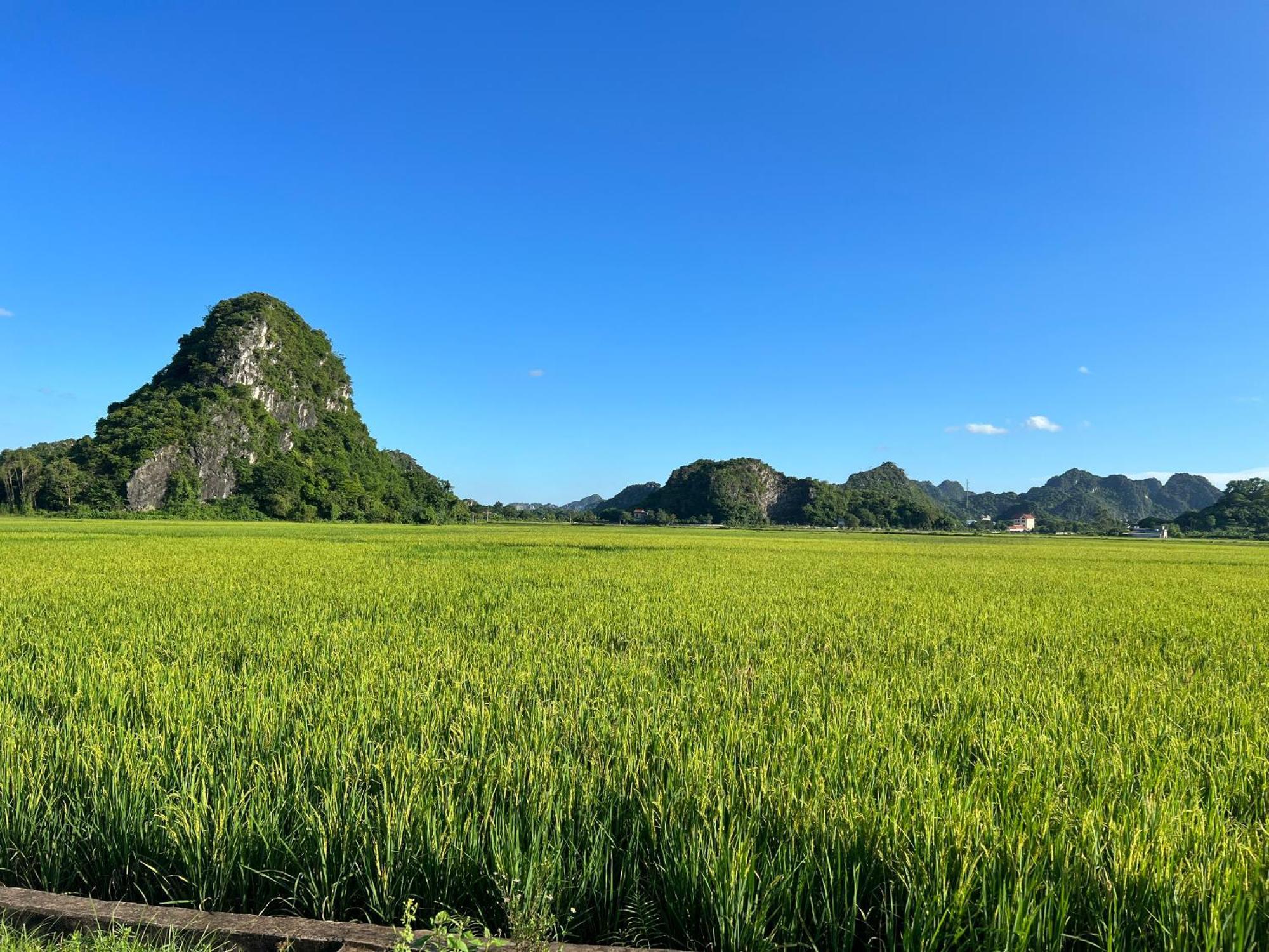 Ninh Binh Family Homestay Ngoại thất bức ảnh
