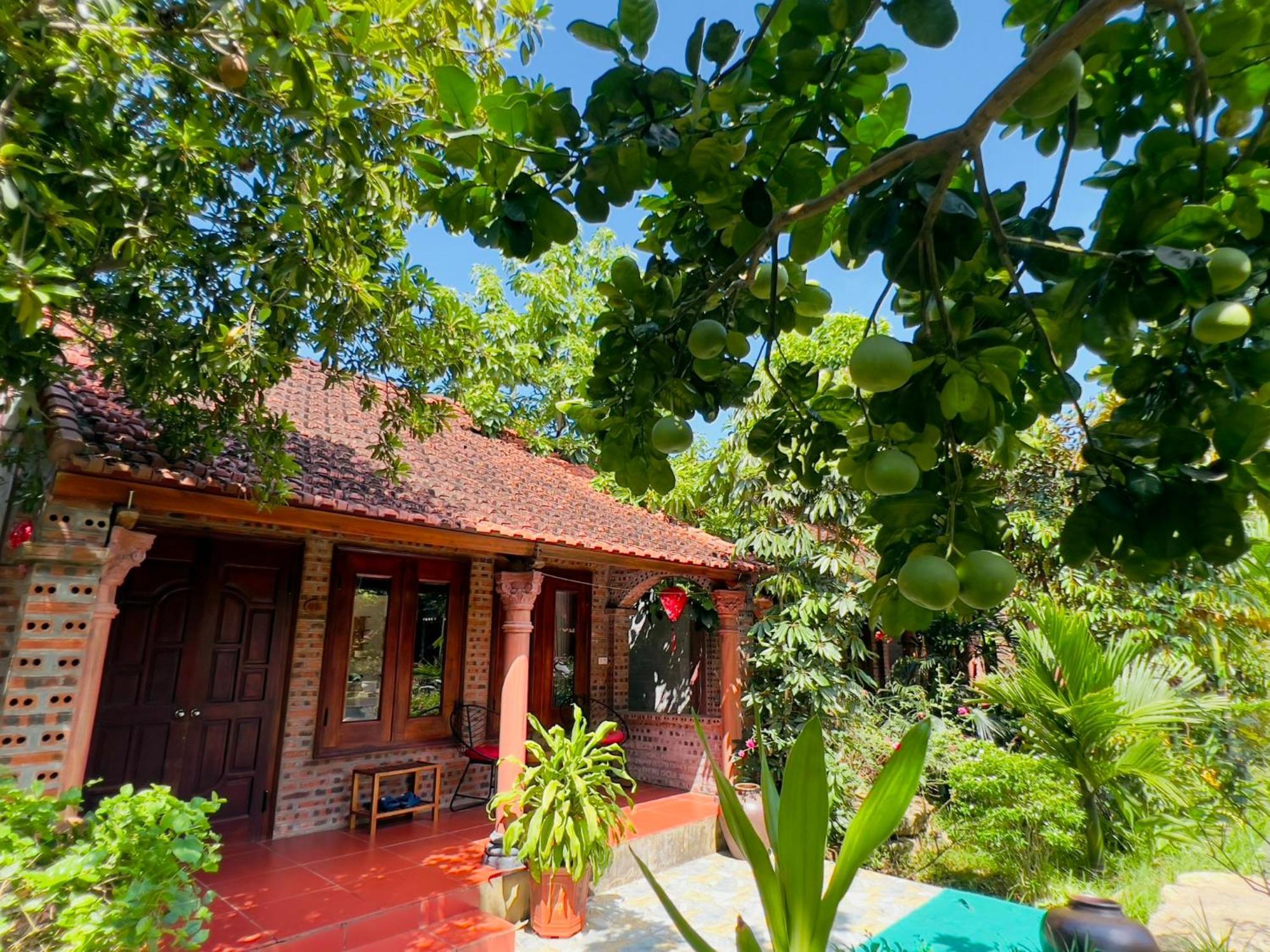 Ninh Binh Family Homestay Ngoại thất bức ảnh
